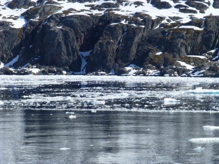 שיט לאנטארקטיקה - גולדן טורס המומחים לשייט לאנטארקטיקה